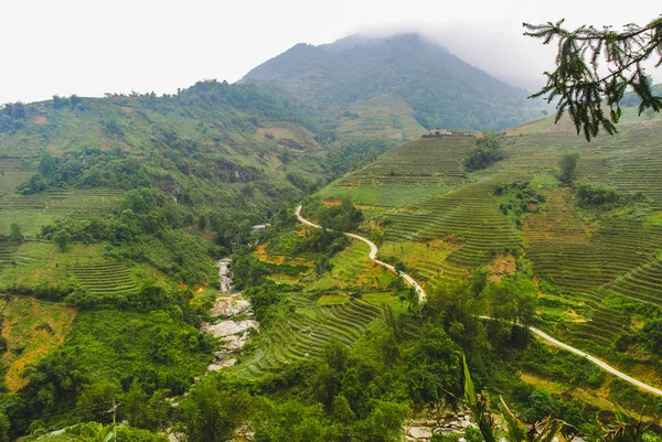 Paisaje Hermosa Naturaleza Alrededor Sapa Con Terrazas Arroz Vietnam — Foto de Stock