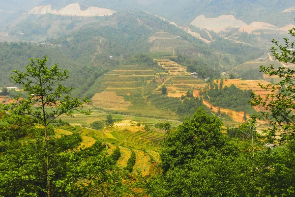Vista Espectacular Del Valle Con Terrazas Arroz Rodeadas Montañas Sapa — Foto de Stock