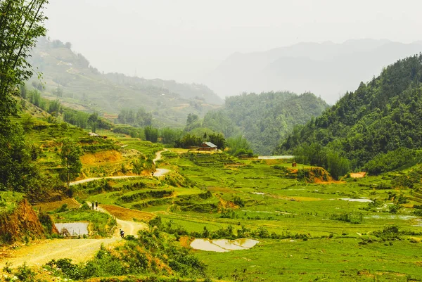 Schöne Grüne Reisterrassen Sapa Vietnam — Stockfoto