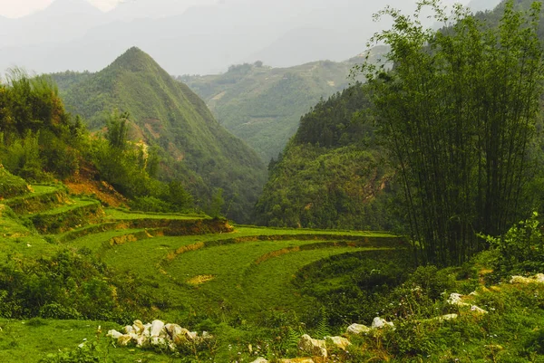 Hermosa Naturaleza Alrededor Sapa Con Terrazas Arroz Vietnam —  Fotos de Stock