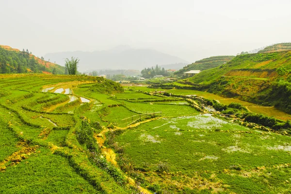 Terraços Verdes Arroz Pela Aldeia Cha Hmong Sapa Vietnã — Fotografia de Stock