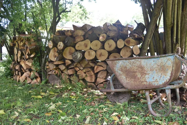 Staplade Trästockar Och Skottkärra — Stockfoto