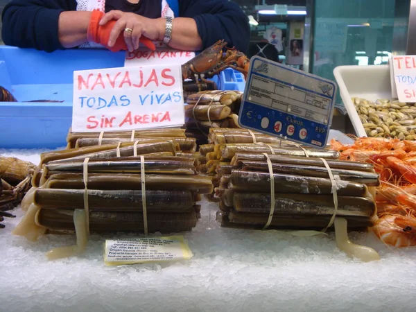 Fotka Jídla Prodej Ensis Ensis Živý Valencijském Trhu — Stock fotografie