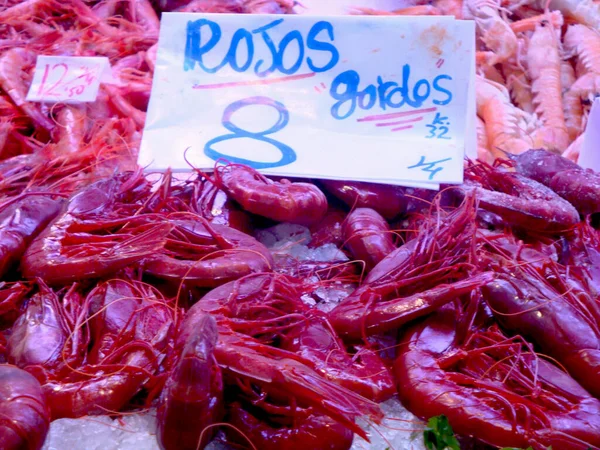 Sale Fish Seafood Market Valencia Spain — Stok fotoğraf