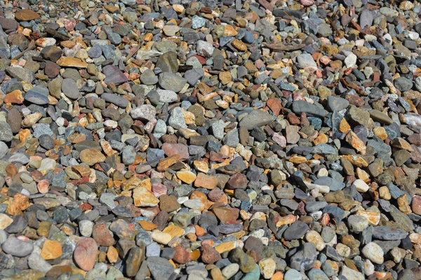 Gravel River Bank — Stock Photo, Image