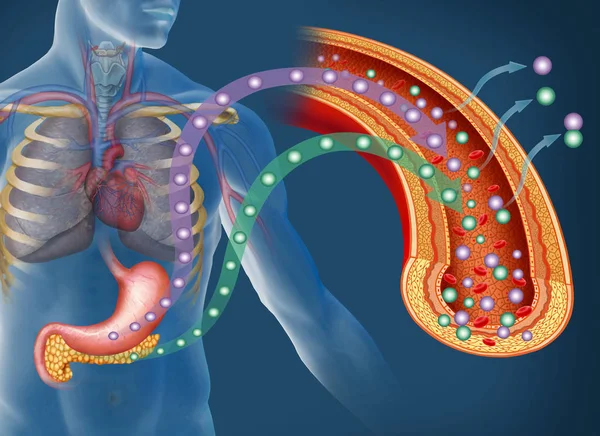 Glukose und Insulin bei Diabetes — Stockfoto