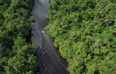 Rio Orinoco Deltası, Venezuela 'daki turne teknesi yemyeşil tropikal yağmur ormanlarıyla kaplı, karanlık suların üstünden aşağı doğru.