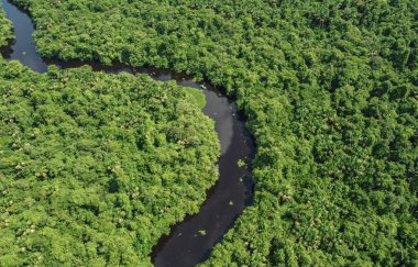 Establishing aerial photo of boat traveling down a river through the jungle in the Orinoco Delta, Venezuela, South America. Sunny, exterior of dense forest with boat on snaking river clipart