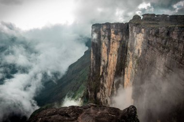Tepuy Roraima, Venezuela 'nın duvarlarından birinin görüntüsü