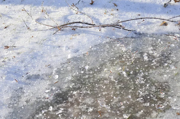 Snowy Winter Ground Frozen Puddle Twigs — Stock Photo, Image