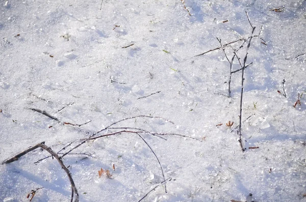 Snowy Winter Ground Kryształów Lodu Gałązek — Zdjęcie stockowe