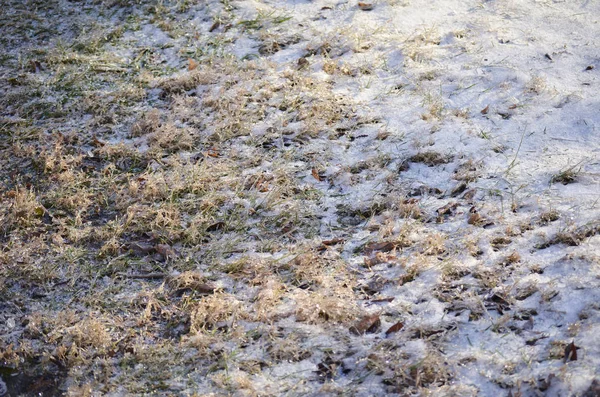 Terra Congelada Com Neve Gelo Grama — Fotografia de Stock