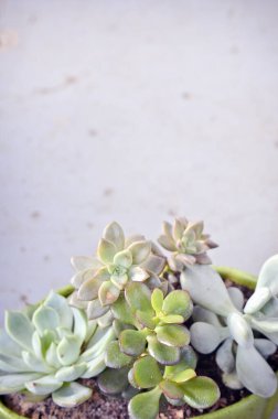 Mavi Gri Arkaplanlı Bir Tencerede Etli Etler - Dikey