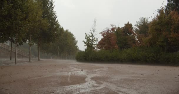 Otoño Parque Público Día Lluvioso — Vídeo de stock