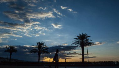 Güneş ile Palm siluet ayarla