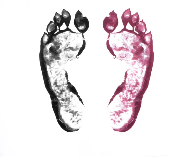 Beast footprints on white — Stock Photo, Image