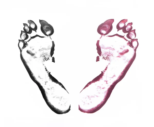 Beast footprints on white — Stock Photo, Image