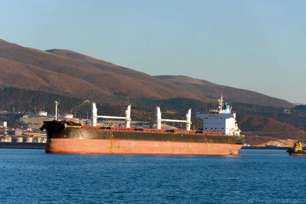 Commercial Sea Port Novorossiysk Loading Ship — ストック写真
