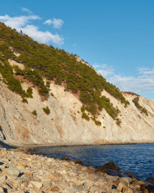 Karadeniz kıyısının kışın güneşli manzarası