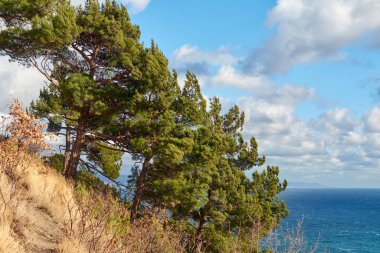Denizin karşısındaki bir dağda.