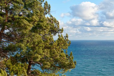 Denizin karşısındaki bir dağda.