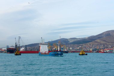 Novorossiysk ticari liman
