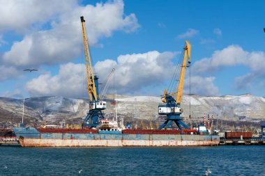 Novorossiysk ticari liman