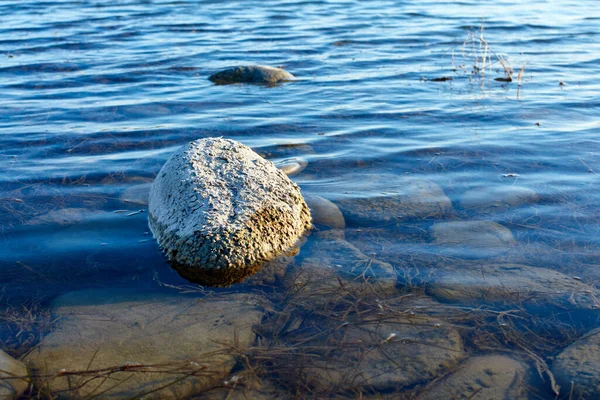 Πέτρα Στο Νερό Στον Ήλιο — Φωτογραφία Αρχείου