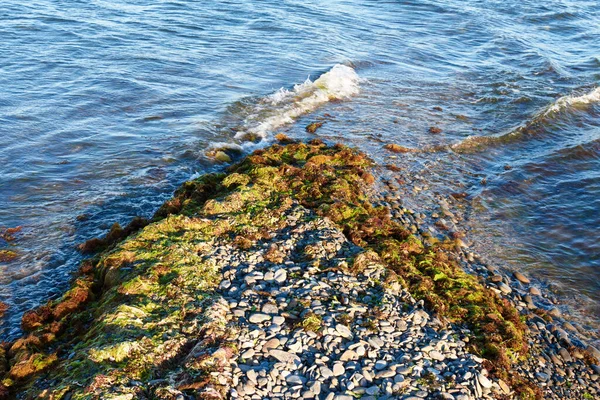 Stenen Zee Golven — Stockfoto