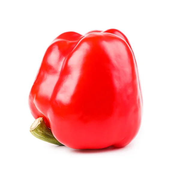 Paprika geïsoleerd op witte achtergrond — Stockfoto