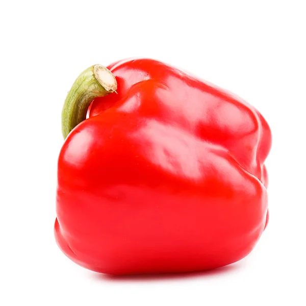 Paprika geïsoleerd op witte achtergrond — Stockfoto