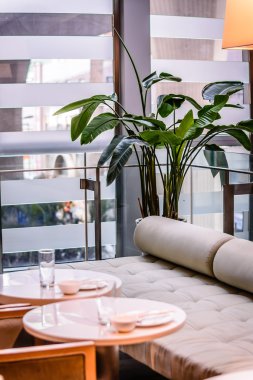 duvarlarda güzel restoran ve masa ve sandalyeler fotoğraf çerçeveleri