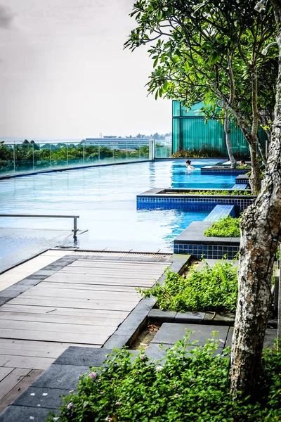 Piscina infinita en la azotea con tumbonas y árboles —  Fotos de Stock