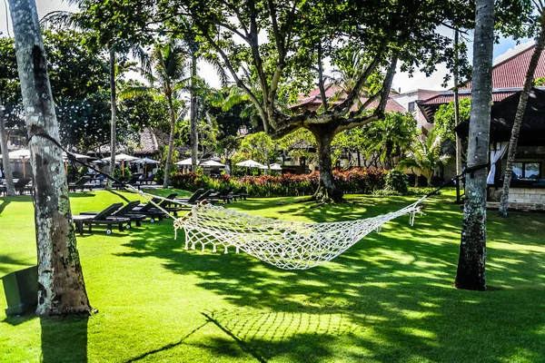 a white hammock hanging in a green garden surrounded by trees
