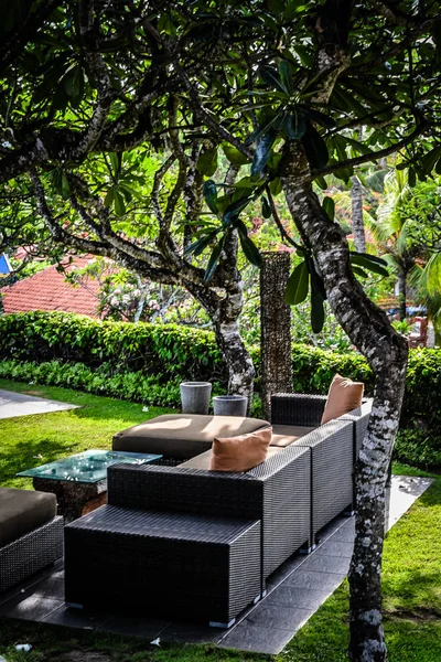 枕と多くの木のある庭の屋外庭園の座席 — ストック写真