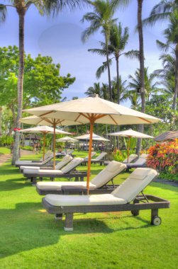 Yüzme havuzunun yanındaki büyük şemsiyelerin altında uzanan sandalyeler. 