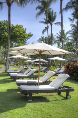 Yüzme havuzunun yanındaki büyük şemsiyelerin altında uzanan sandalyeler. 