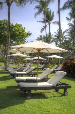 Yüzme havuzunun yanındaki büyük şemsiyelerin altında uzanan sandalyeler. 