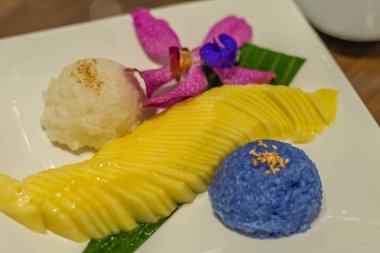 Yapışkan pirinç ve beyaz tabakta hindistan cevizi sütüyle mango tatlısı.