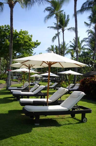 Reclining lounge chairs under large umbrellas next to swimming pool — Stock Photo, Image