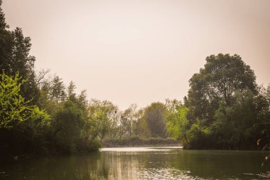 Xixi Wetland Bataklıkları 'ndan bir sahne Çin' deki Hangzhou 'da