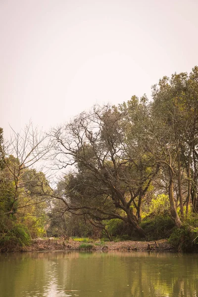 Xixi Wetland Bataklıkları Ndan Bir Sahne Çin Deki Hangzhou — Stok fotoğraf