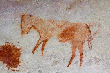 San sanat Cederberg Dağları Güney Afrika için rock