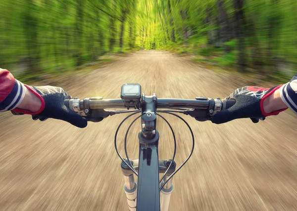 Ride on bicycle on road in summer forest.