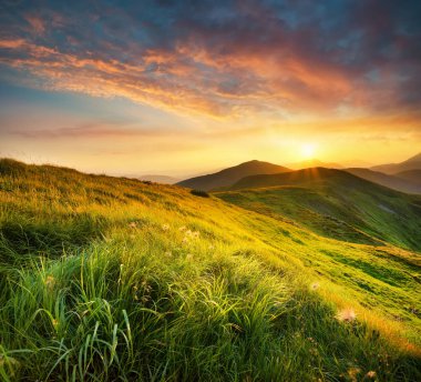 Güzel doğal manzara