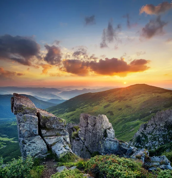 Paysage naturel d'été — Photo