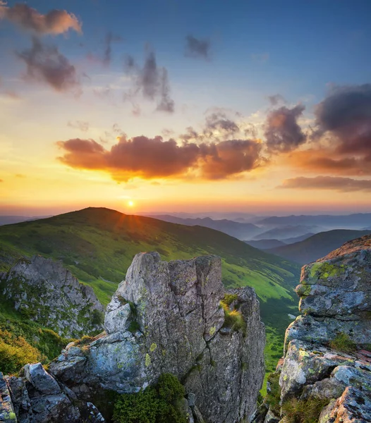 Natürliche Sommerlandschaft — Stockfoto