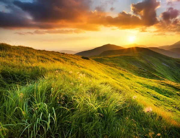 Vackert naturlandskap — Stockfoto