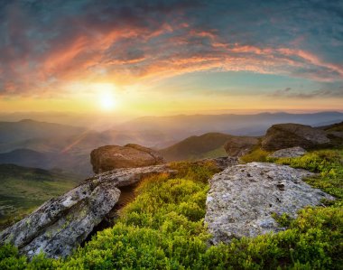 Dağ tepe üzerinde çim 