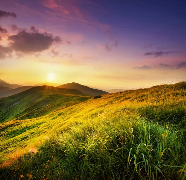 Mountain field during sunset. — Stock Photo, Image